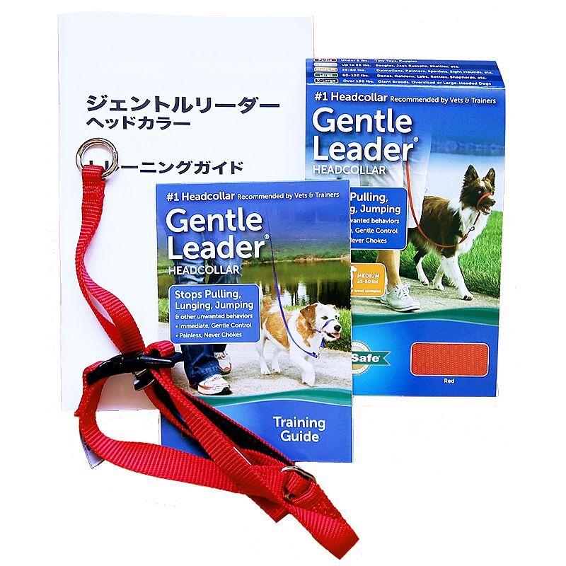 PetSafe ジェントルリーダー日本語説明書付きセット (パッケージ無し) [メール便OK]